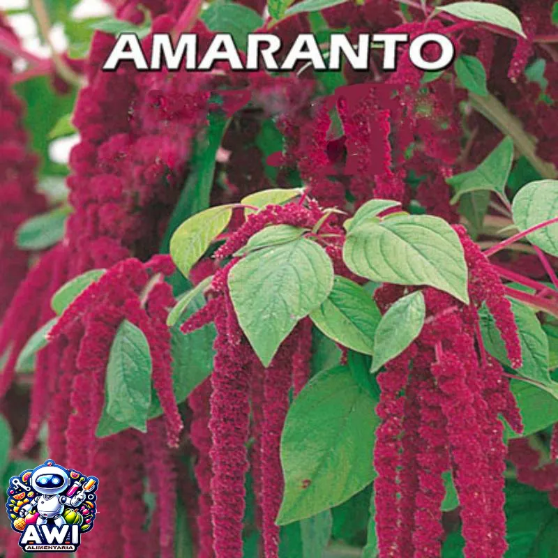 COLORANTE ALIMENTARIO ROJO AMARANTO - Imagen 3