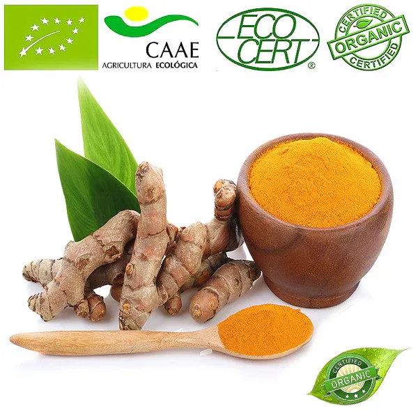 COLORANTE ECOLOGICO AMARILLO CURCUMA 1% - Imagen 9