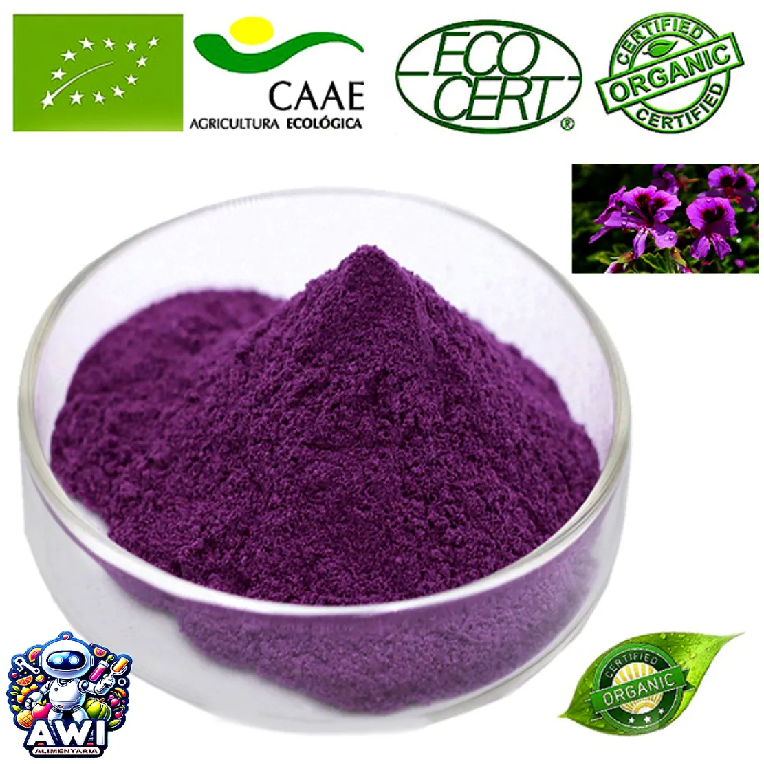 COLORANTE ECOLOGICO PURPURA GARDENIA