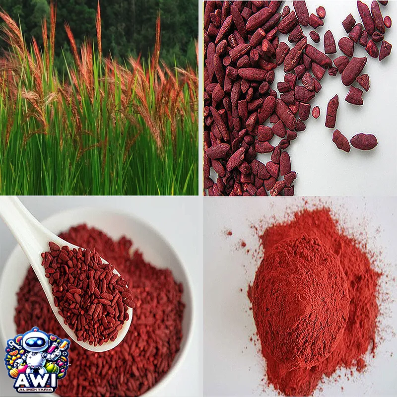 COLORANTE NATURAL ROJO MONASCUS - Imagen 6